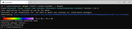 wingetInstallVSCode-Insiders-1024x231.png