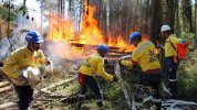 erta-wildfire-south-africa-firefighters-1-1024x576.jpg